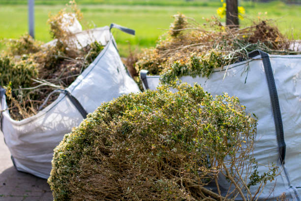 Best Furniture Removal Near Me  in Saddle River, NJ